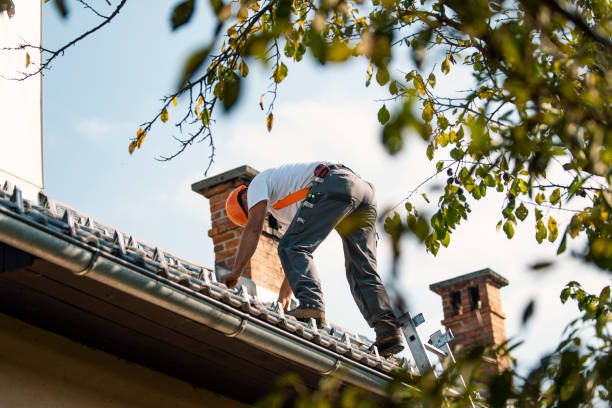 Best Sheet Metal Roofing  in Roberts, WI